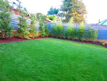 Photo(s) from True Scapes Llc