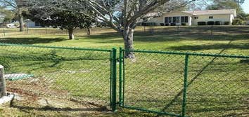 Chain Link