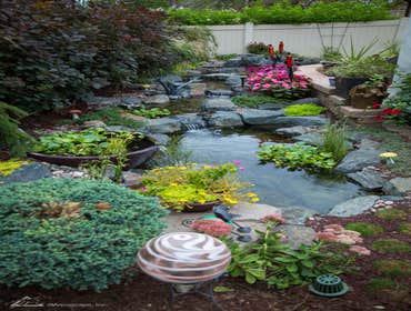 Water features Enjoy the peaceful sound of running water and build a backyard oasis.
