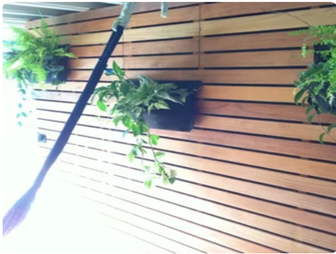 Redwood Concrete Outdoor Kitchen