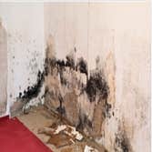 Photos by Hugon Construction #1