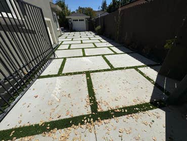 front yard