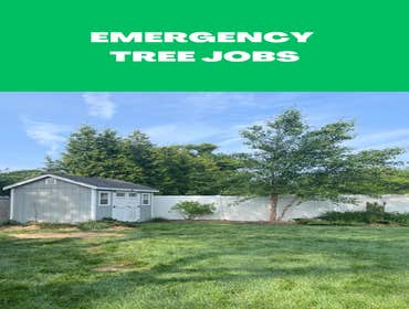 Photos by American Pride Tree Experts & Landscaping Inc #58