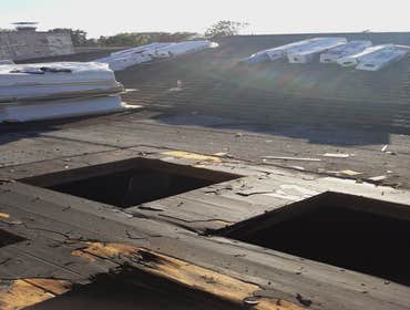 Shep Flat roof