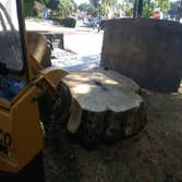 Photos by South Coast Stump Removal