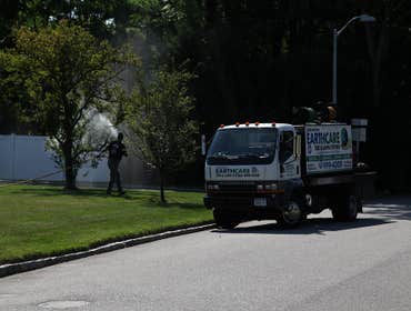 Photos from Alternative Earthcare Tree & Lawn Systems Inc