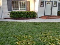 Photos from Woodcrest Property Restoration