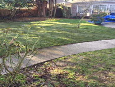 Photos by Best Cuts Lawn Care #1