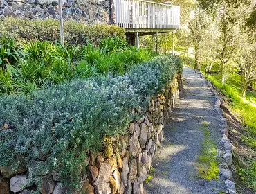 Landscaping