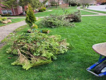 Photos by Alberto Alavez Professional Lawn Services LLC #14