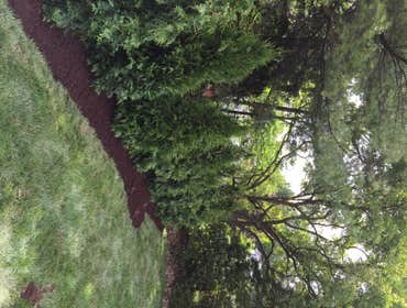 Photos by M. Jayson Lawn Care, LLC #1