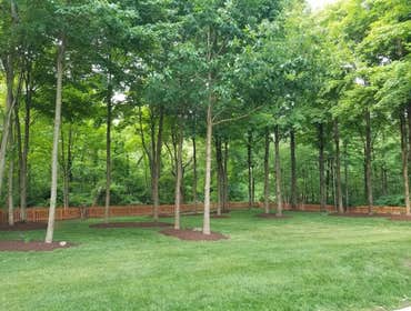 Photos by Jm Landscape and Tree Services #1