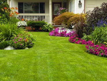 Artificial Turf