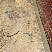 Photos from Dallas Foundation Repair, Inc