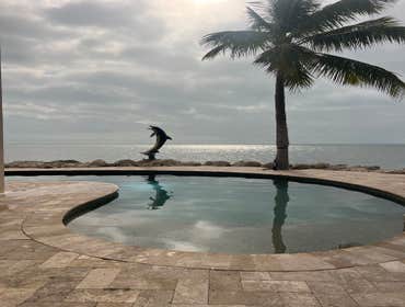 Photos by Over Seas Pool Paver #1 Pool service