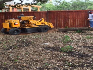 Photos from South Texas Tree of Life Tree S.Tx Tree of Life Tree Service