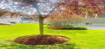Ground Care Landscaping