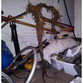 Red Wrench Plumbing, LLC