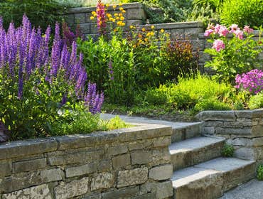 Photos from Rivera's Landscaping & Construction Inc.