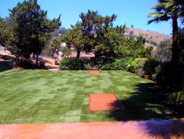 Photos from Newcomb Tree Experts Inc