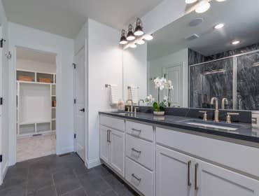 Addison Walkout Basement