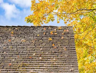 Roofing