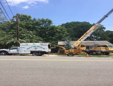 Photo(s) from Bonilla Tree Service Inc