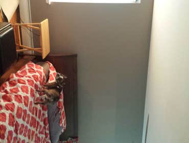 Photos by Quality Finishes Painting - Condo Harlem N.Y.
