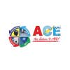 Ace Solves It All logo