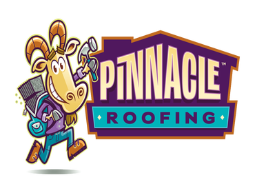 Photos by Pinnacle Roofing Group LLC #1