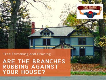 We Care Tree Services Looking for complete tree service. From tree removal to land clearing – We Care Tree Service can handle all of your tree service 