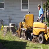 Paul's stump removal