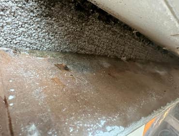 Water Mitigation This project was a roof leak the photos show initial inspection to post demo.