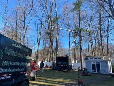 Photos by Cabral Tree & Construction Inc #4