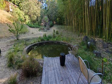 Photos by Tuyub Landscaping #10