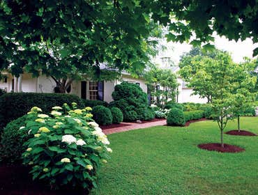Photos from Rivera's Landscaping & Construction Inc.