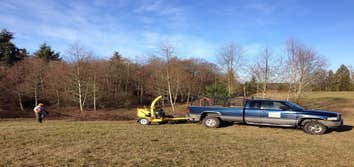 Brush clearing