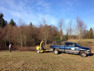 Brush clearing