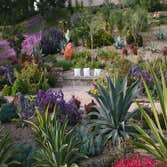 Laurie's Landscaping Project