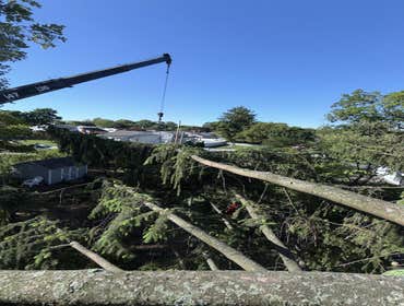 Photos by Green Point Tree Services & Landscaping #24