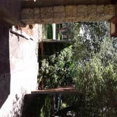 Photos from Browns Outdoor Tree Service