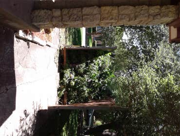 Photos from Browns Outdoor Tree Service