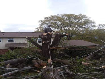 Photos by Don Cele Landscaping #1