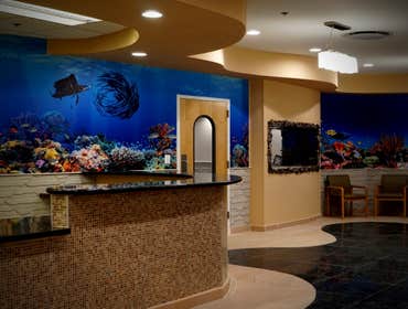Photos by 4d & Associates #1