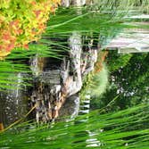 Plantique, Inc. Projects Various Landscapes