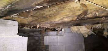 Photos by Algood Foundation Repair #1