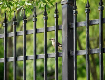 COMMERCIAL/INDUSTRIAL Photo(s) from Denver Fence Construction And Repair Denver Fence Construction
COMMERCIAL Fence Construction or Repair
We've go