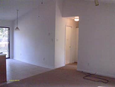 Mold Damage (after)