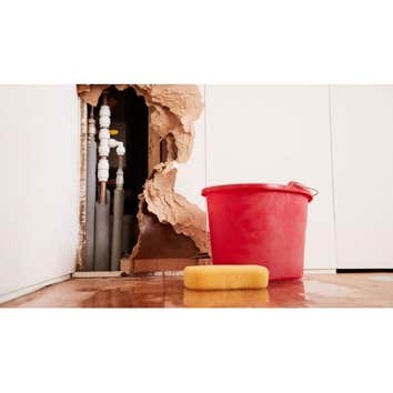 San Marcos Water Damage Solutions