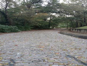 Photos from Lot Scapes